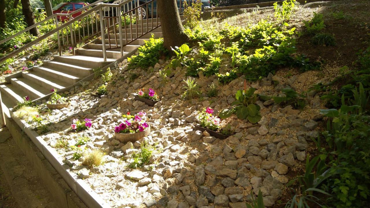 Gesztenyes Apartman 미슈콜츠 외부 사진