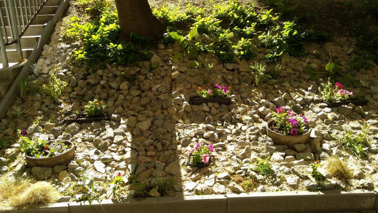 Gesztenyes Apartman 미슈콜츠 외부 사진