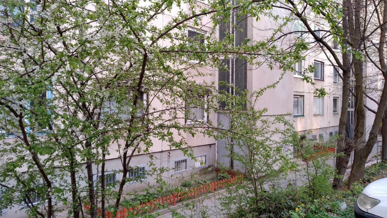 Gesztenyes Apartman 미슈콜츠 외부 사진